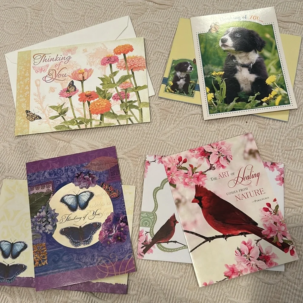 Assorted Get Well / Thinking of You / Sympathy / Blank / Anniversary c…